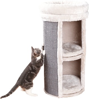 BEST OF BEST CAT TREE FOR KITTENS