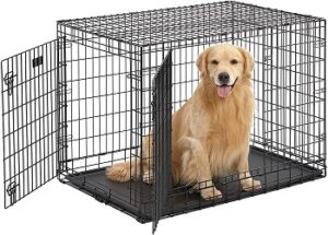 Best 5 Dog Crate For Golden Retriever Puppies & Adult Pets