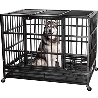 BEST OF BEST HEAVY DUTY METAL DOG CRATE SUmmary