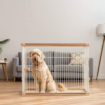 BEST PLASTIC EXTRA TALL DOG CRATE