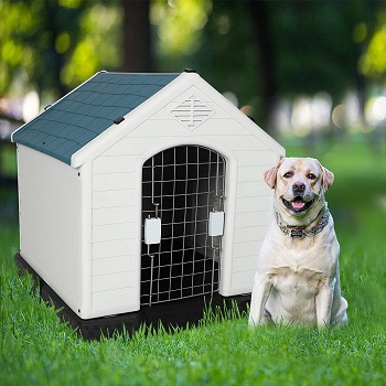 BEST PLASTIC HOUSE SHAPED DOG CRATE