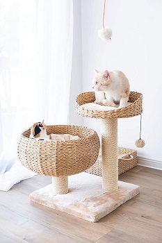 BEST SMALL BOHO CAT TREE