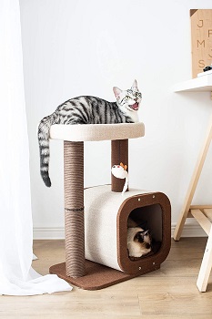 BEST SMALL CAT SCRATCHER CONDO TREE