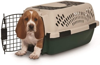 BEST SMALL HEAVY DUTY PLASTIC DOG CRATE