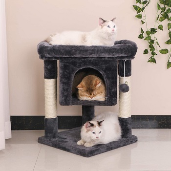 BEST SMALL SENIOR CAT TREE