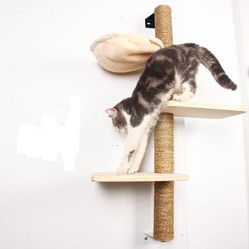 BEST WALL CAT CLIMBING STRUCTURE