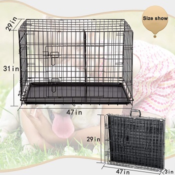 BestPet 48-in Wire Dog Crate