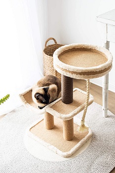 Catry Scratching Climbing Cat Tower