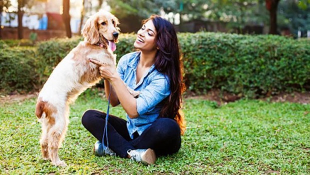 Contact With Dogs Reduces Stress