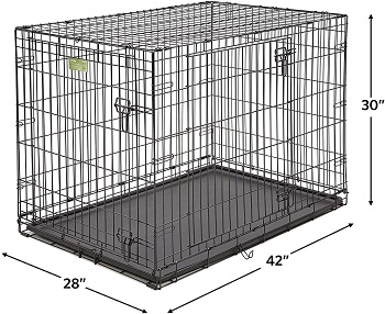 Crate Dog Crate Starter Kit