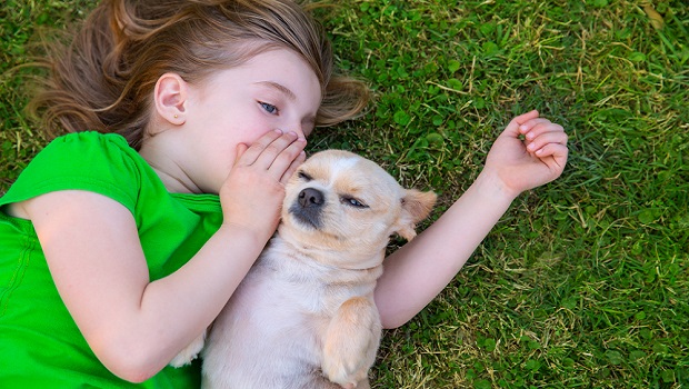 Dogs Are Great Listeners