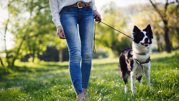 Exercise And Walking In Nature