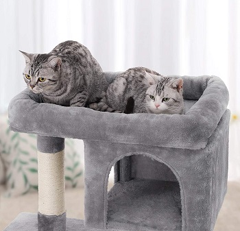 Feandrea Cat Tree Condo