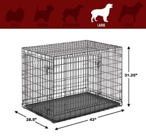 Best 5 Dog Crate For Golden Retriever Puppies & Adult Pets