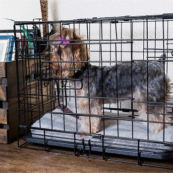 Paws And Pals Dog Crate