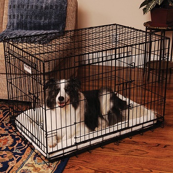 BEST INDOOR 42 DOG CRATE WITH DIVIDER