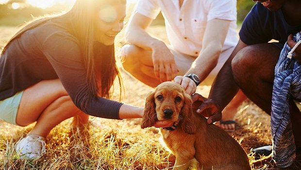 Socialization And Interaction With Other People Gets Easier