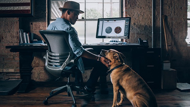 Students With Dogs Experience Less Stress And Anxiety