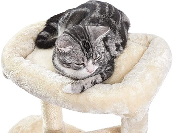 Superjare Cat Tree For Elderly Cats