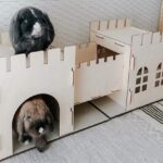 castle rabbit hutch