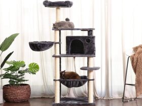 cat tower with feeding station