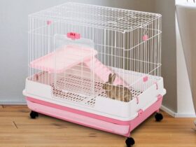 cute bunny cage