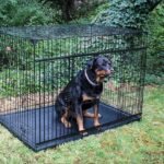 dog-crate-for-2-large-dogs