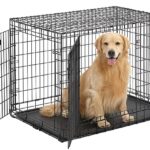 dog-crate-for-golden-retriever