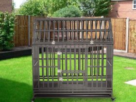 dog-crate-for-rottweiler