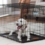 dog-sleeping-crate