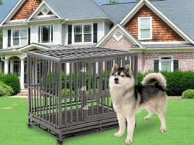durable-dog-crate