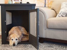 extra-large-dog-crate-furniture