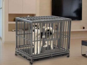 heavy-duty-metal-steel-dog-crate