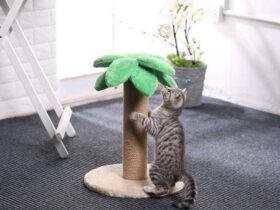 indoor cat tree