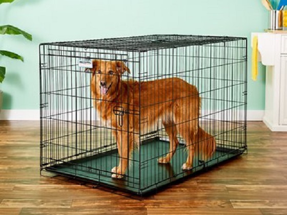 long-dog-crate