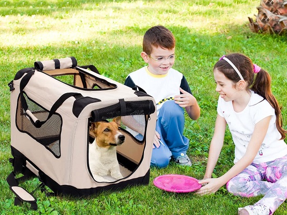 soft-collapsible-dog-crate