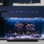 10-gallon Fish Tank With LED Light