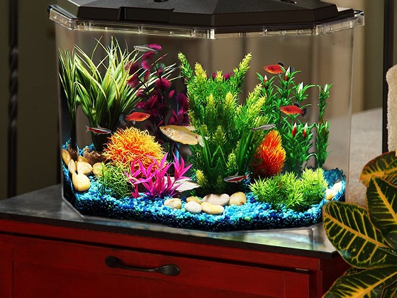 10-gallon Hexagon Fish Tank