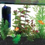 10 gallon planted aquarium