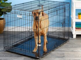 42-inch-dog-crate-with-divider