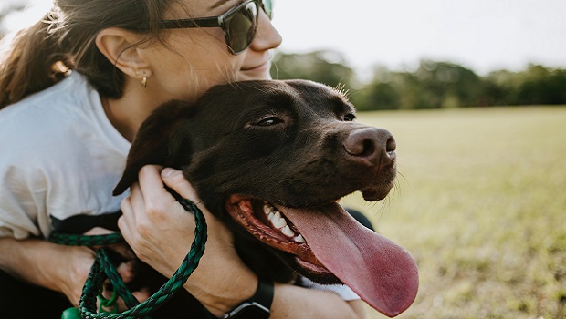 92% Of Dog Owners Would Travel 2000 Miles To Save Their Dogs