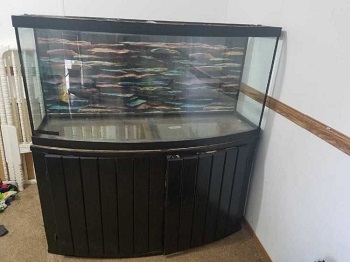 All Glass Aquarium Stand