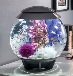 10 gallon fish bowl 10 gallon fish bowl