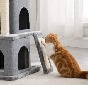 6 Best 36-inch Cat Trees Kittens & Adult Cats Will Love 2022