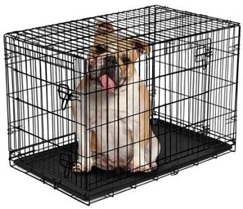 BEST FOLDING 36 INCH CRATE WITH DIVIDER