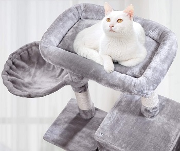 BEST FOR LARGE CATS 36 INCH CAT TREE