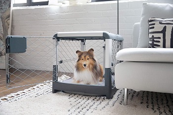BEST FOR PUPPIES COOL DOG CRATE