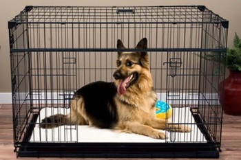 BEST FOR PUPPIES GERMAN SHEPHERD CRATE