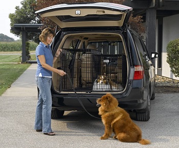 BEST FOR TRAVEL COOL DOG CAGE