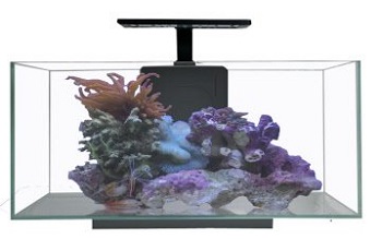 BEST GLOFISH 10 G FISH TANK